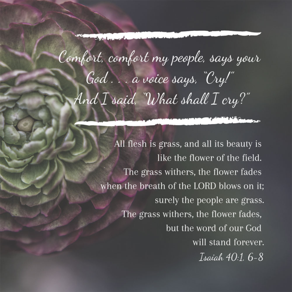 Isaiah 40