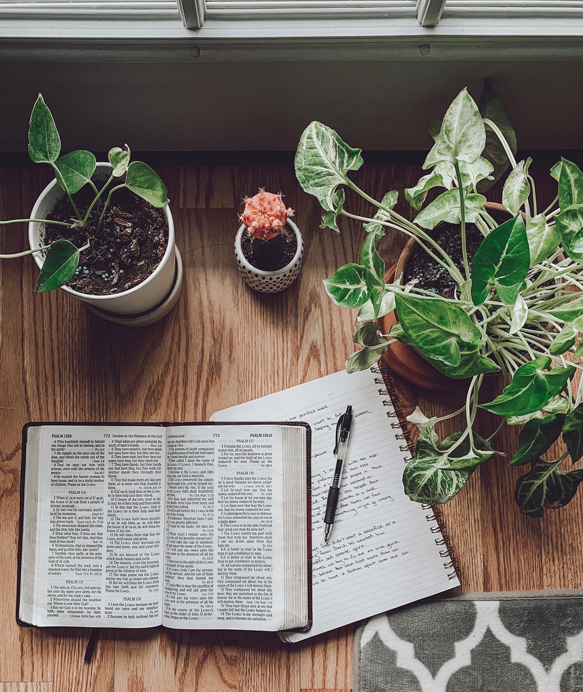 Bible Study at First Alliance Church